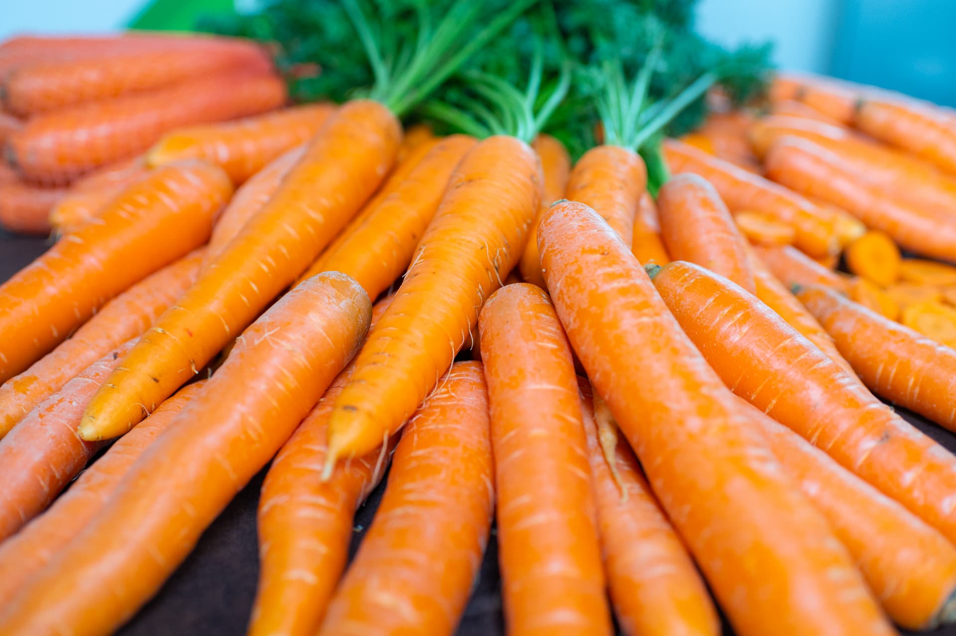 Fresh Crop carrots from field to packhouse
